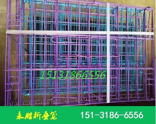 信鸽专用折叠观察笼 河北永胜丝网制品厂的匠心之作
