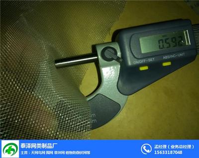 青蛙纱网 丝网制品中的环保与实用典范